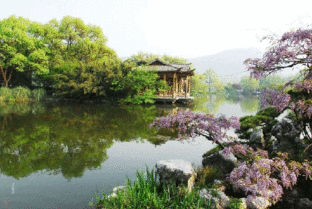 揉碎春光,探寻诗意盎然的岁月流转