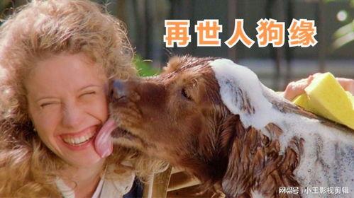 再世人狗缘,跨越生死的忠诚与陪伴